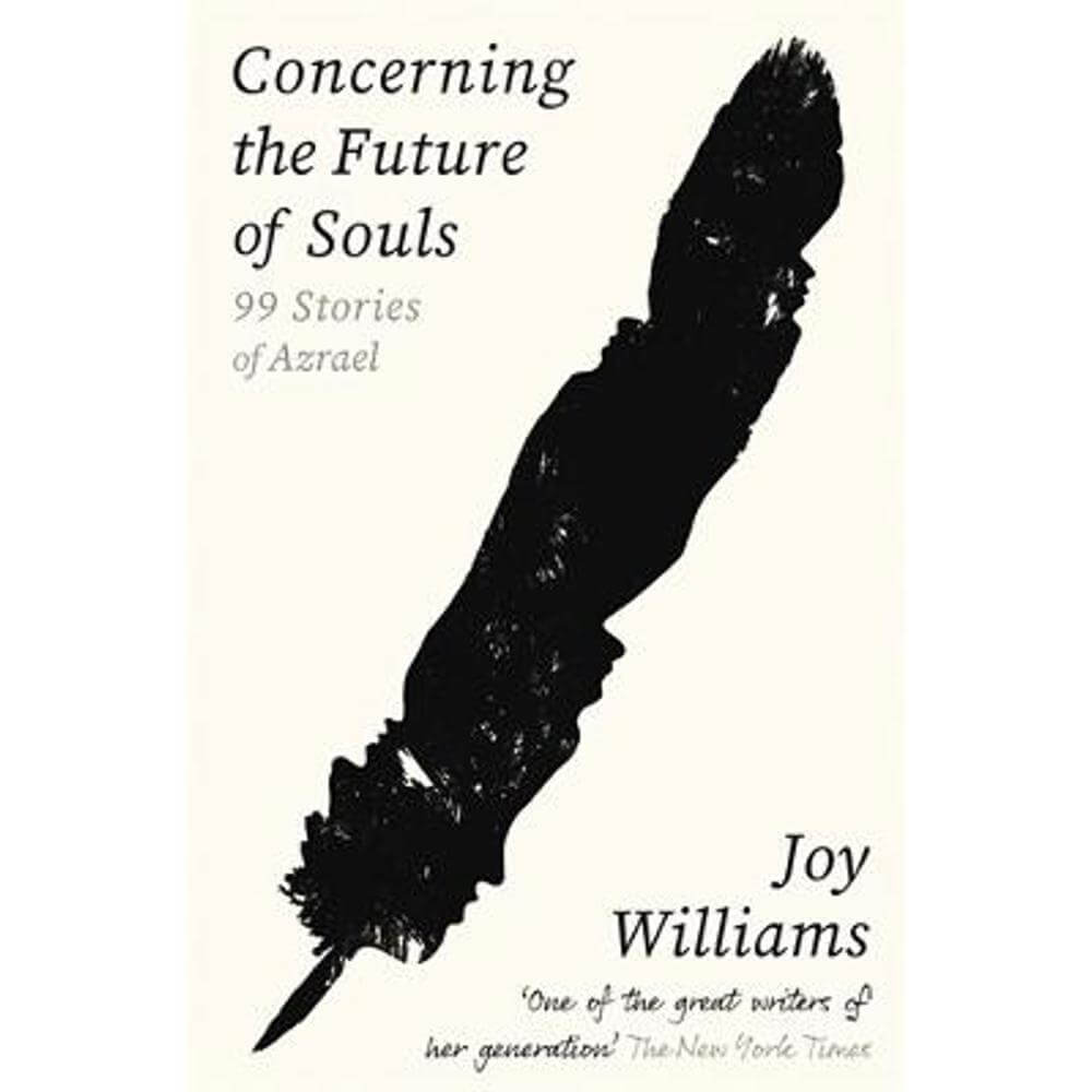 Concerning the Future of Souls: Ninety-Nine Stories of Azrael (Paperback) - Joy Williams